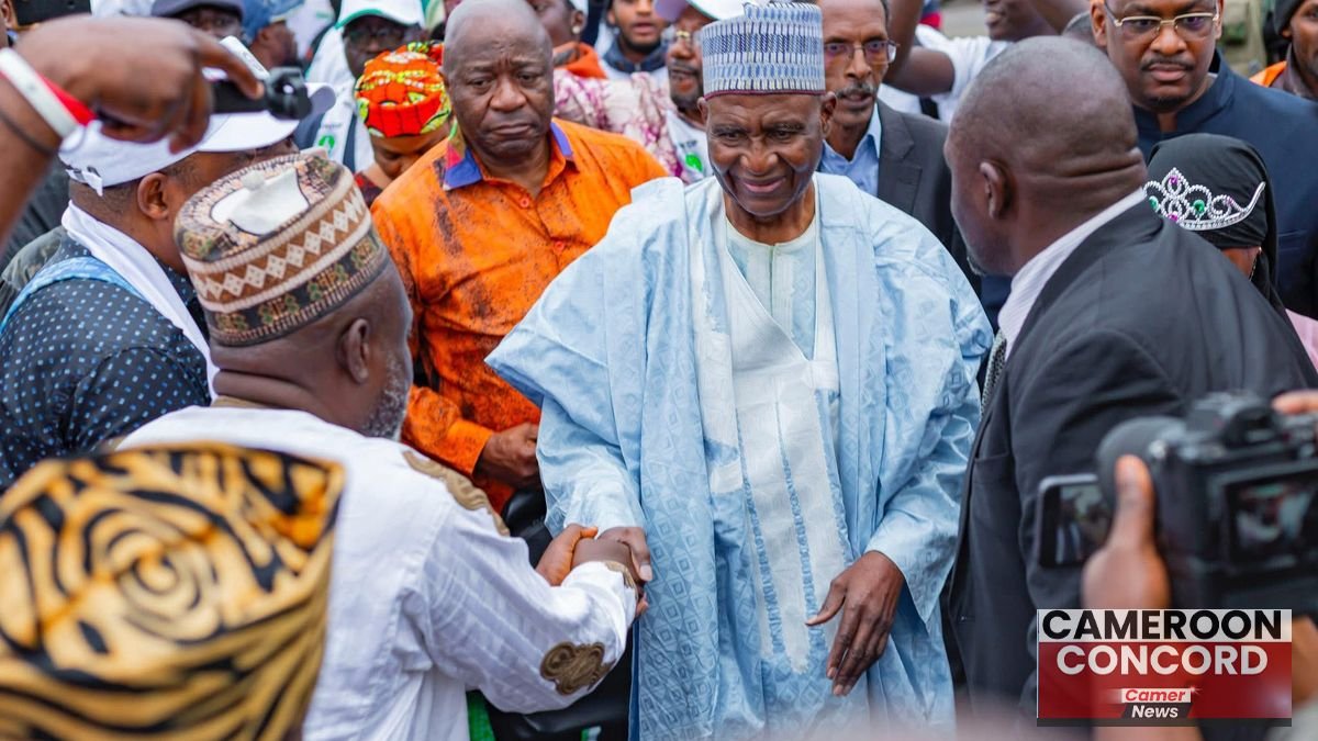 bello bouba anglophone plan – 14-point programme