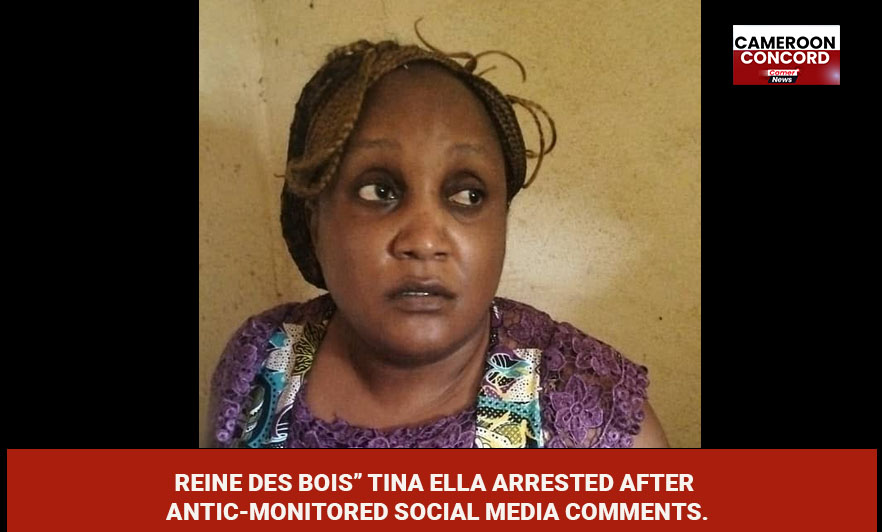 Activist detained after joint ANTIC–Gendarmerie operation as Biya regime widens post-election crackdown.